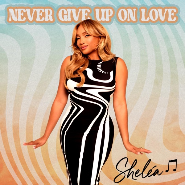 Never Give Up On Love - Single album cover