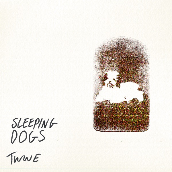 Sleeping Dogs - Single album cover