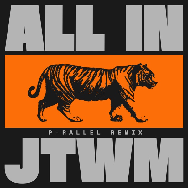 ALL IN (feat. Rimarkable) [p-rallel Remix] - Single album cover