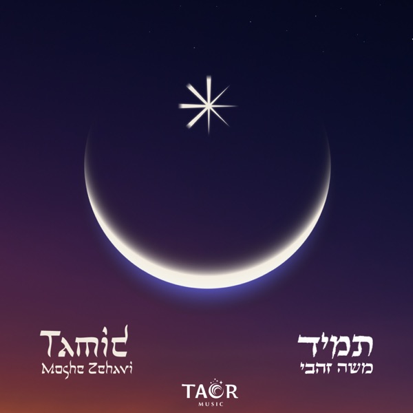 Tamid - תמיד (feat. Orka, Nadav Fast, Madhav Haridas & Ronan Praul) - Single album cover
