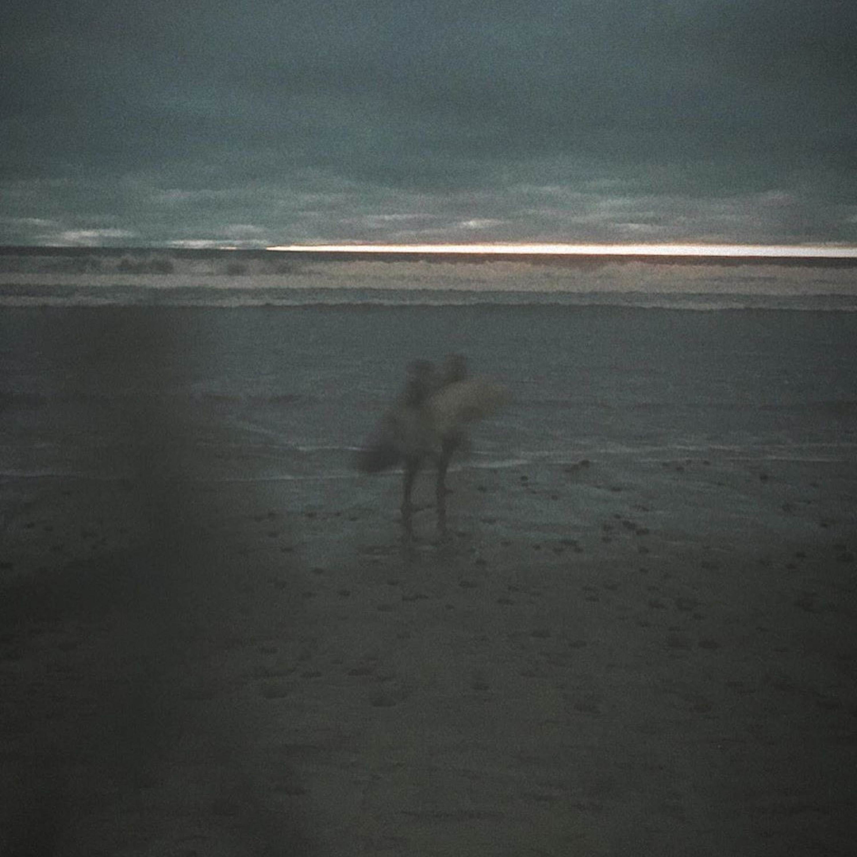 17 - Single album cover