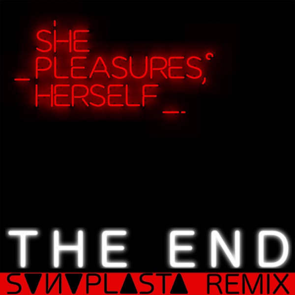 The End (SONOPLASTA Remix) - Single album cover
