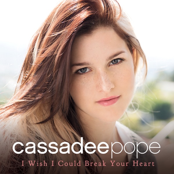 I Wish I Could Break Your Heart - Single album cover
