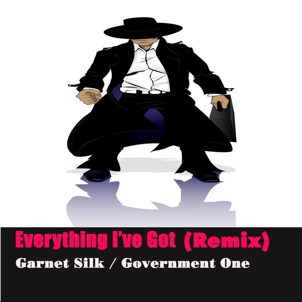 Everything I've Got (Remix)) - Single album cover