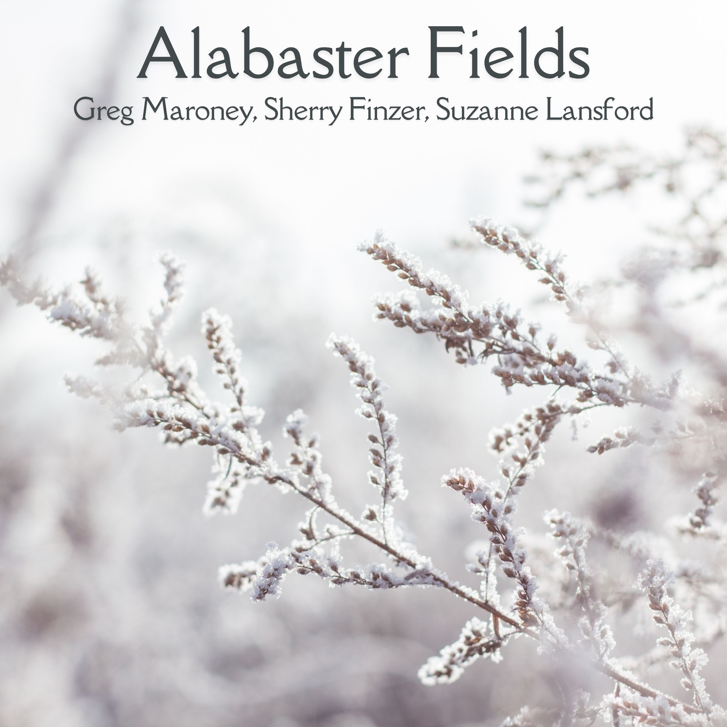 Alabaster Fields - Single album cover
