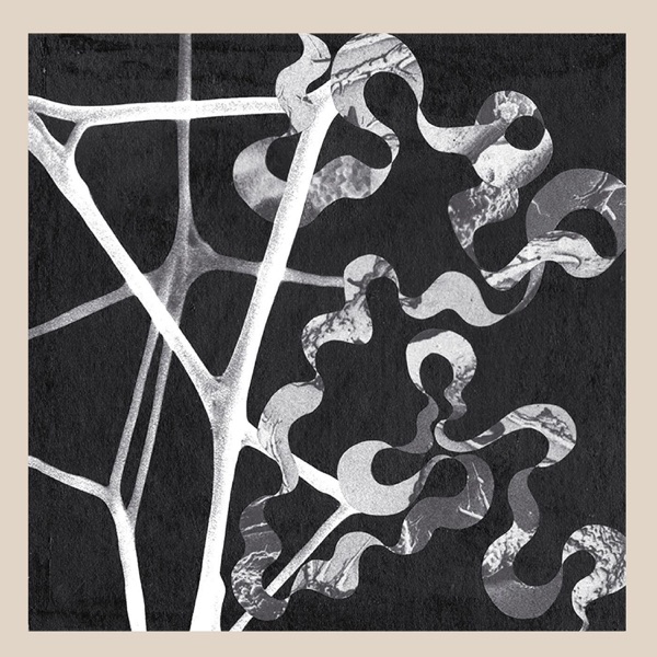 Shake The Feeling - Single album cover