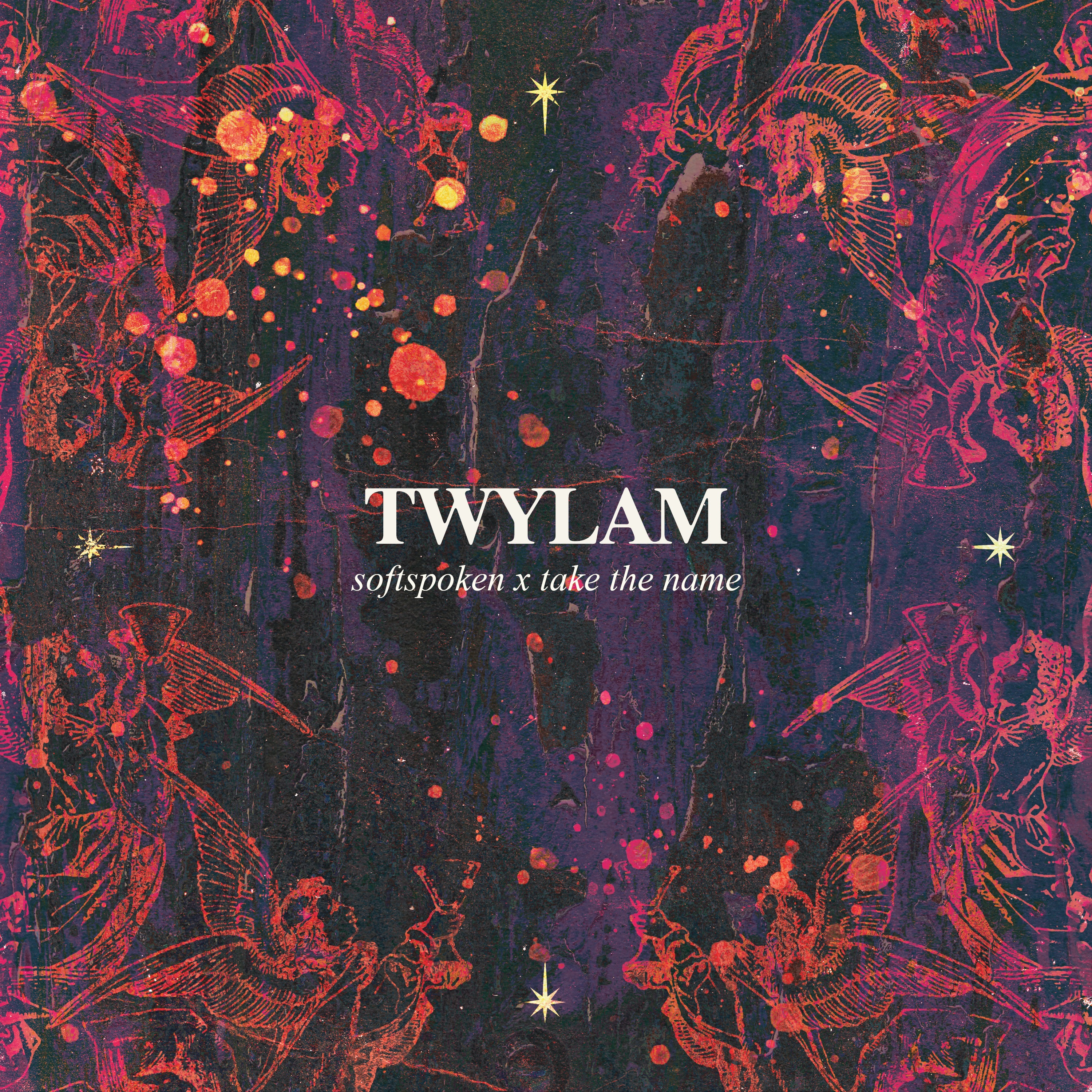 TWYLAM (Deluxe Edition) - Single album cover