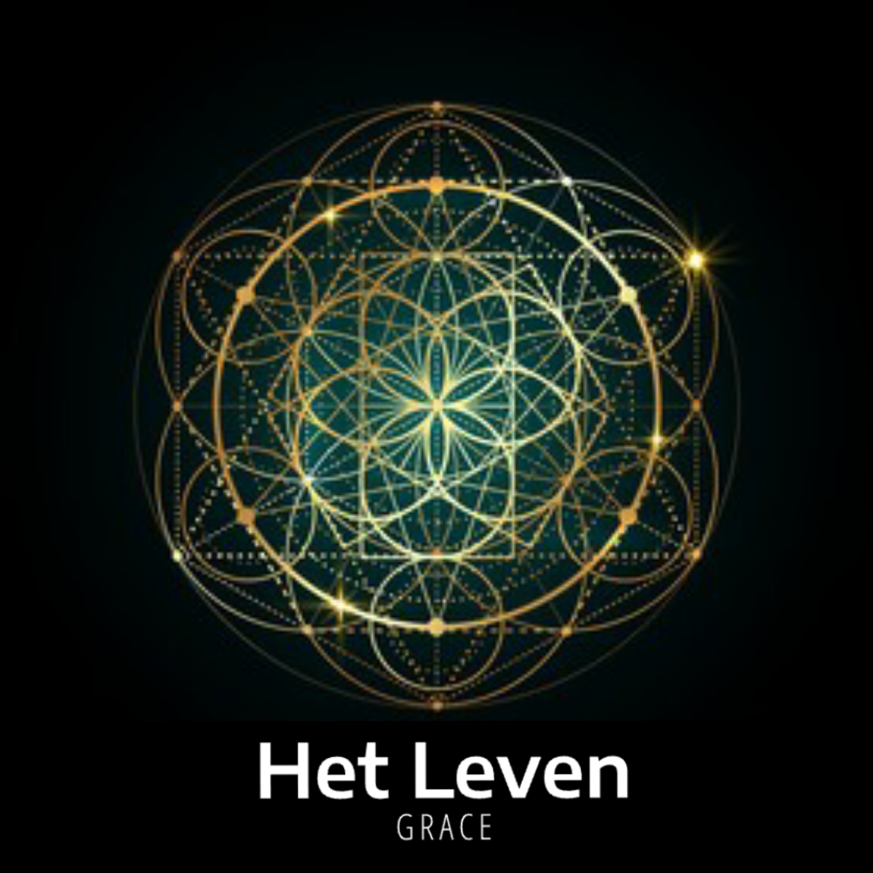 Het Leven - Single album cover