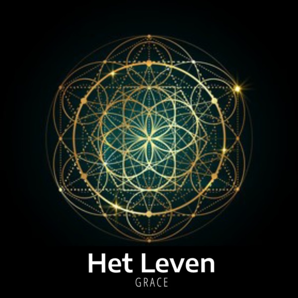 Het Leven - Single album cover