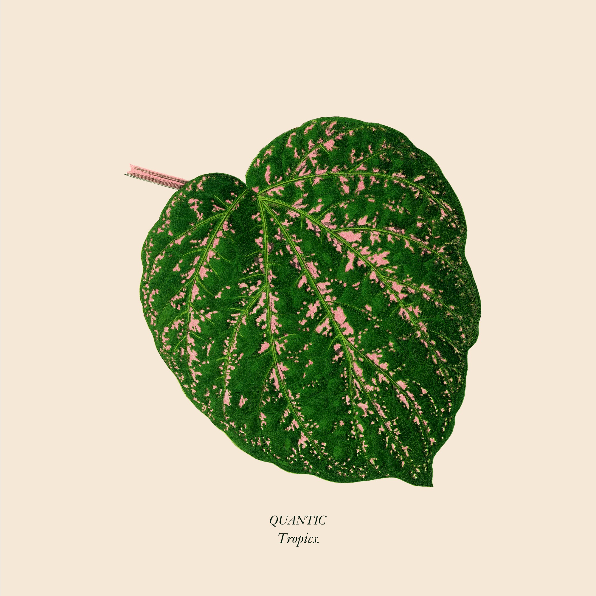 Tropics - Single album cover