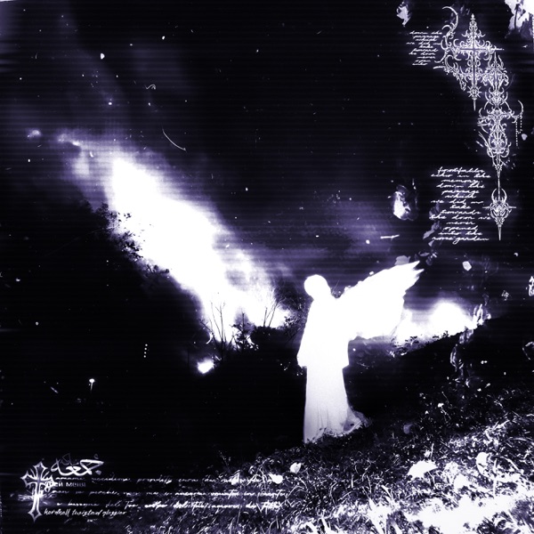 TRAGELUXE - EP album cover