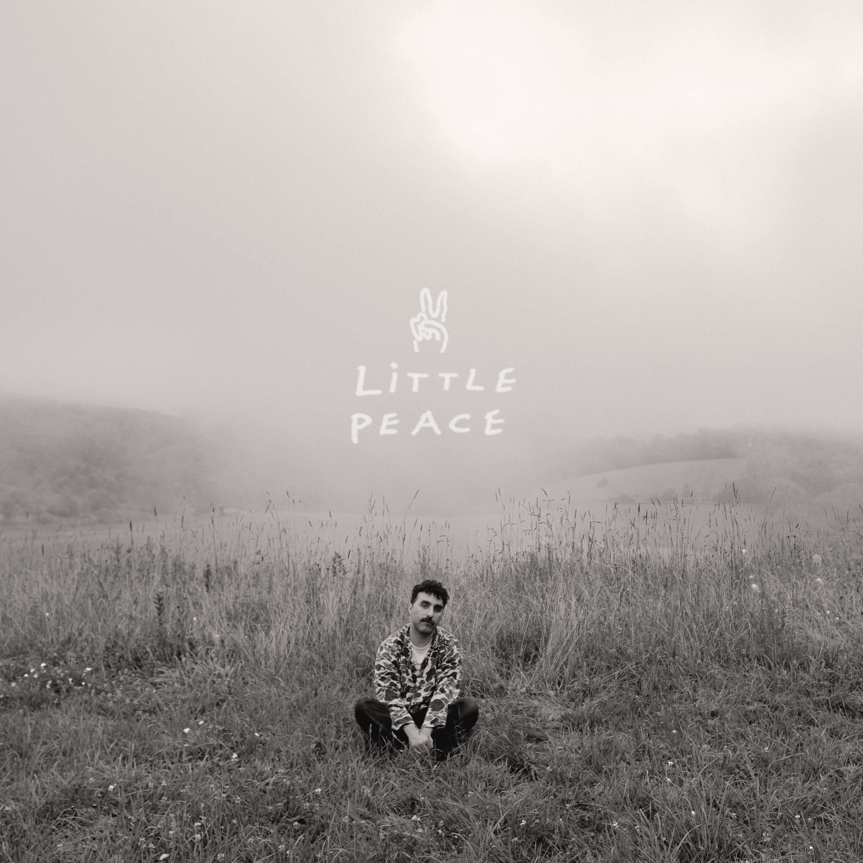 Little Peace - Single album cover