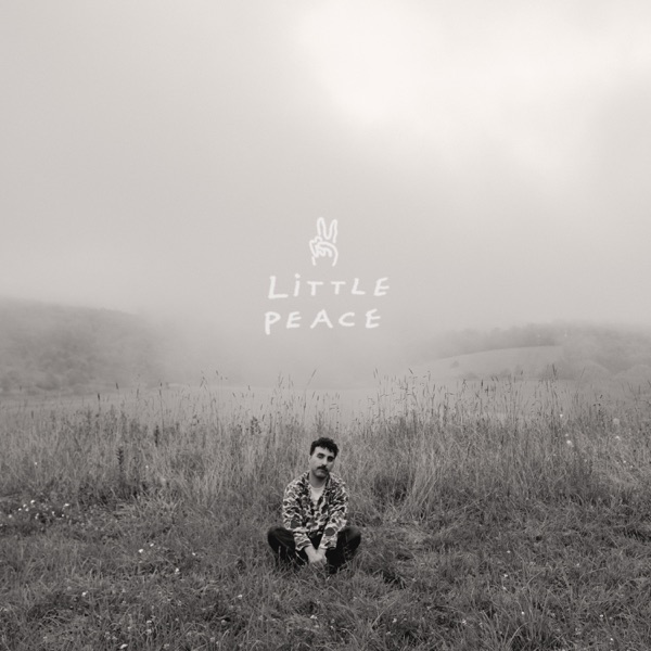 Little Peace - Single album cover