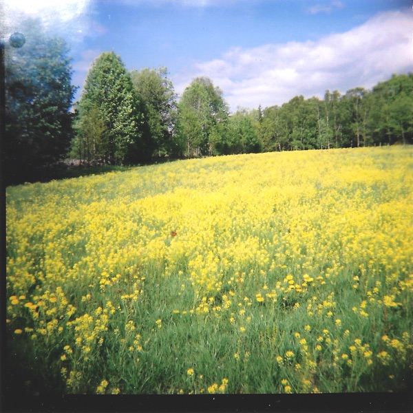 Why May I Not Go Out And Climb The Trees? (Live) - Single album cover