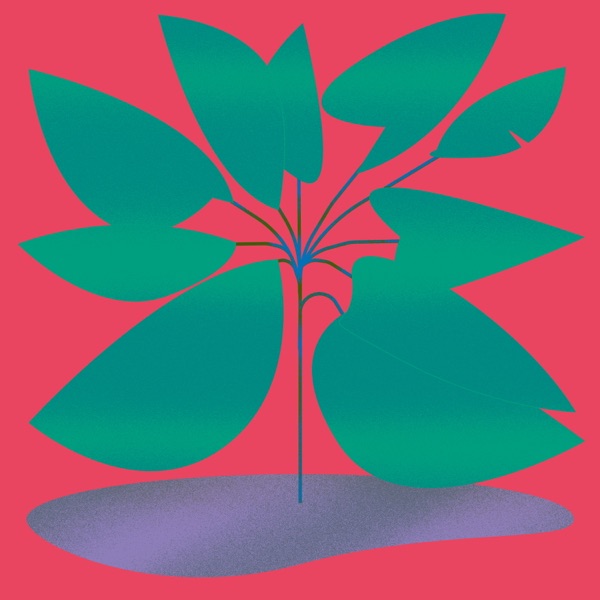 Wakayama - Single album cover