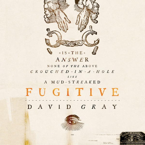 Fugitive - Single album cover