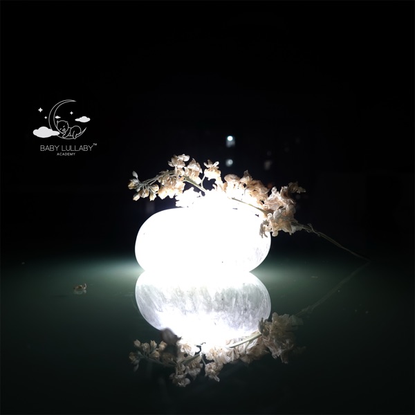 Nest of Silver Petals album cover