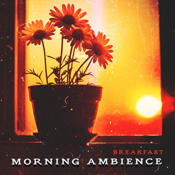 Morning Ambience album cover