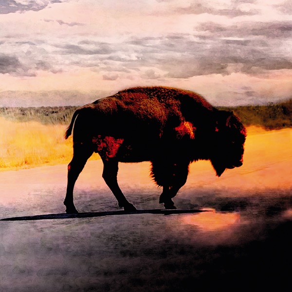 Saving Grace album cover