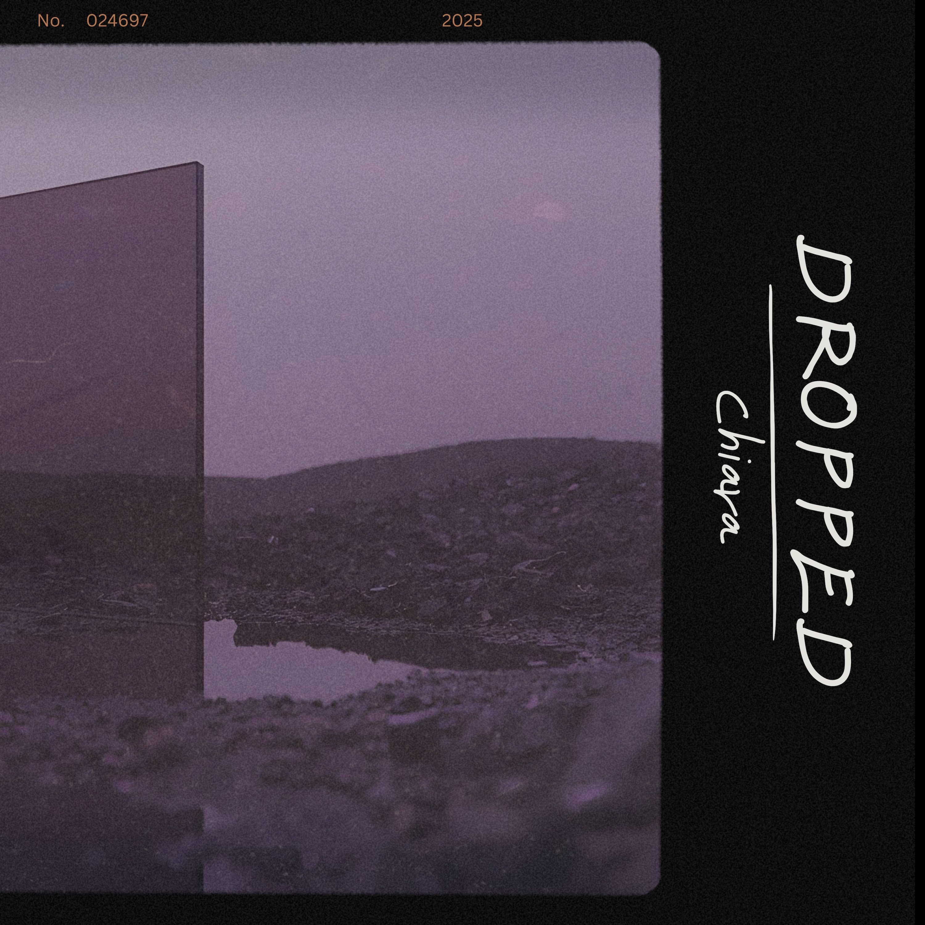 Dropped album cover