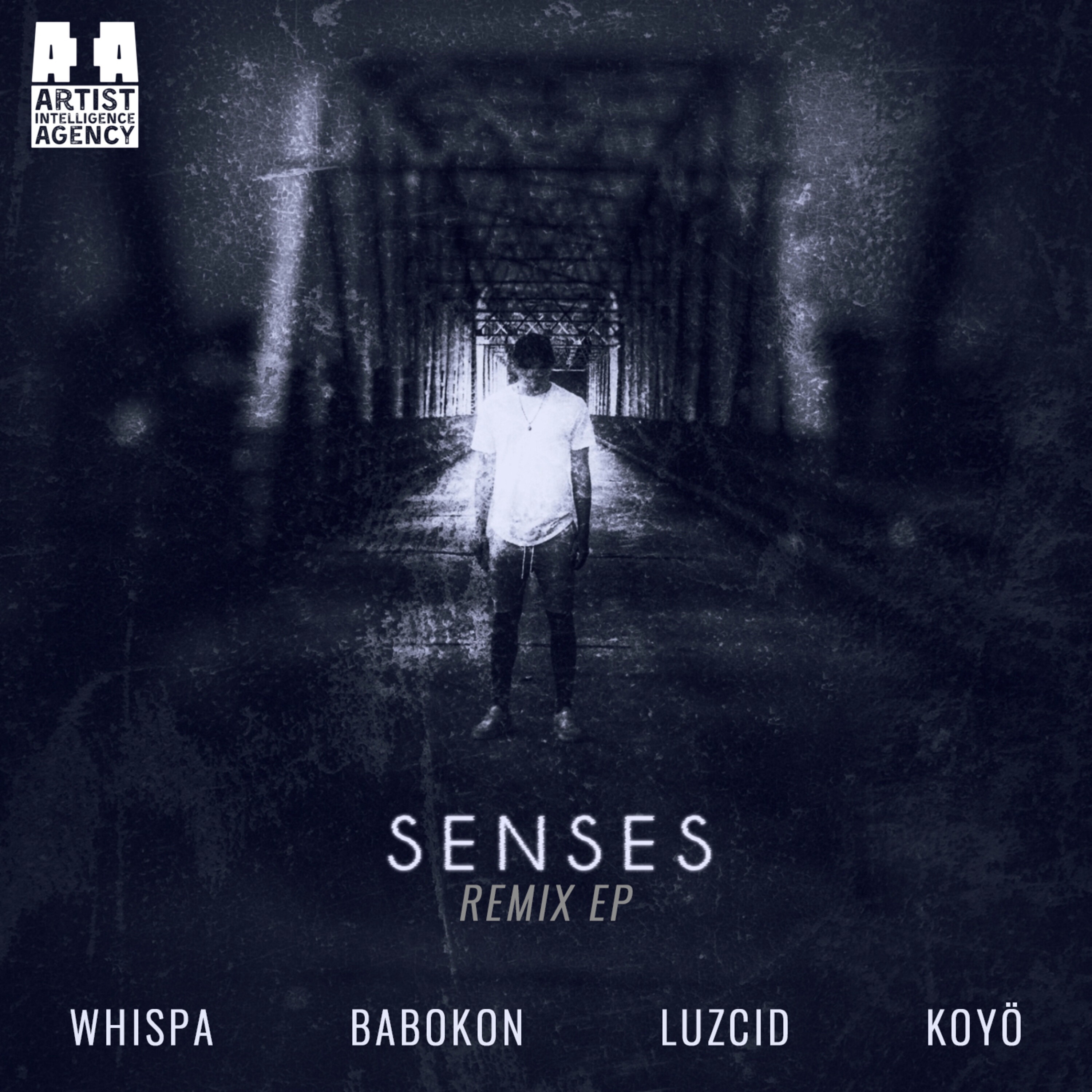 Senses (Remix Ep) album cover
