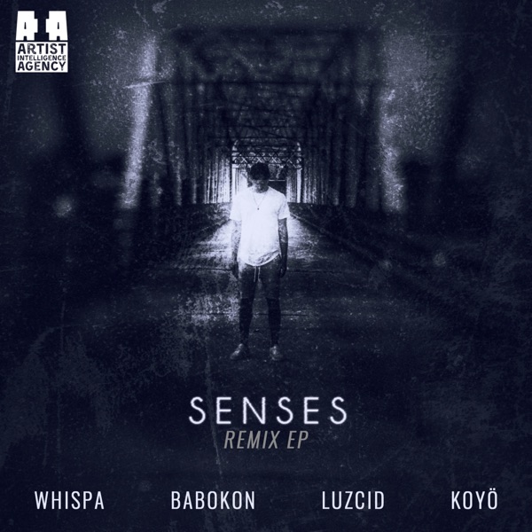 Senses (Remix Ep) album cover