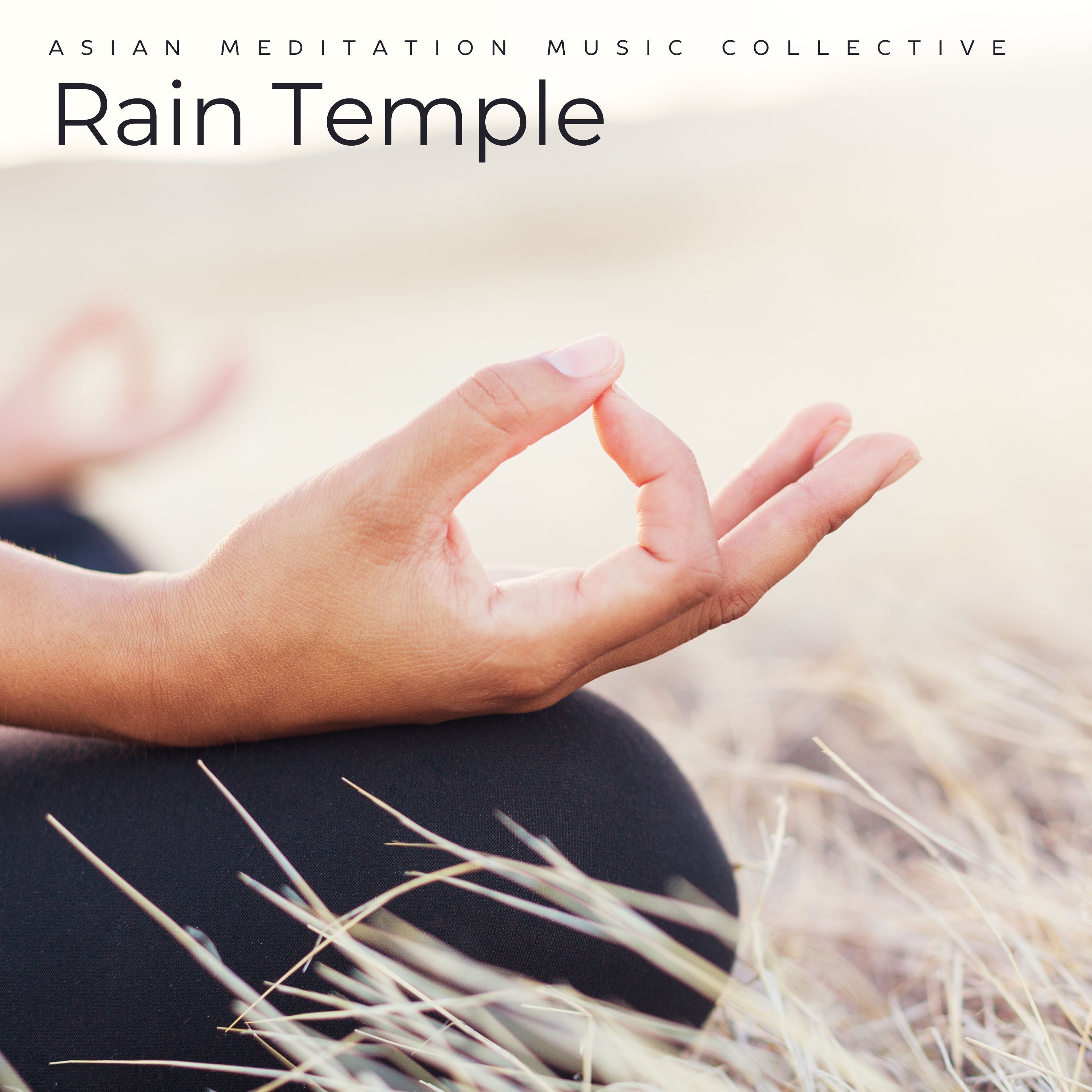 Rain Temple: Calm Meditation album cover