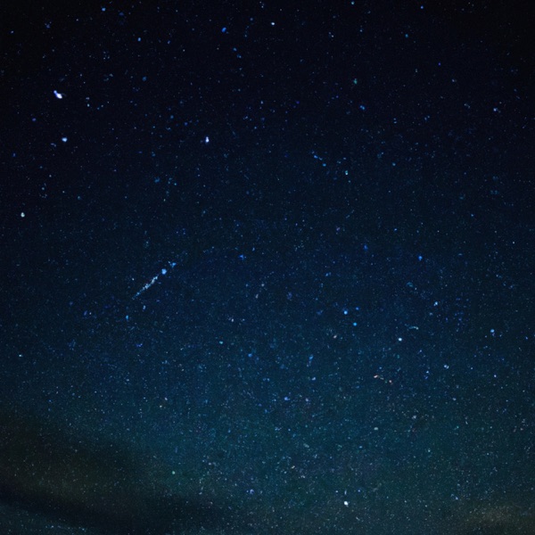 FN (feat. 1K Phew) - Single album cover