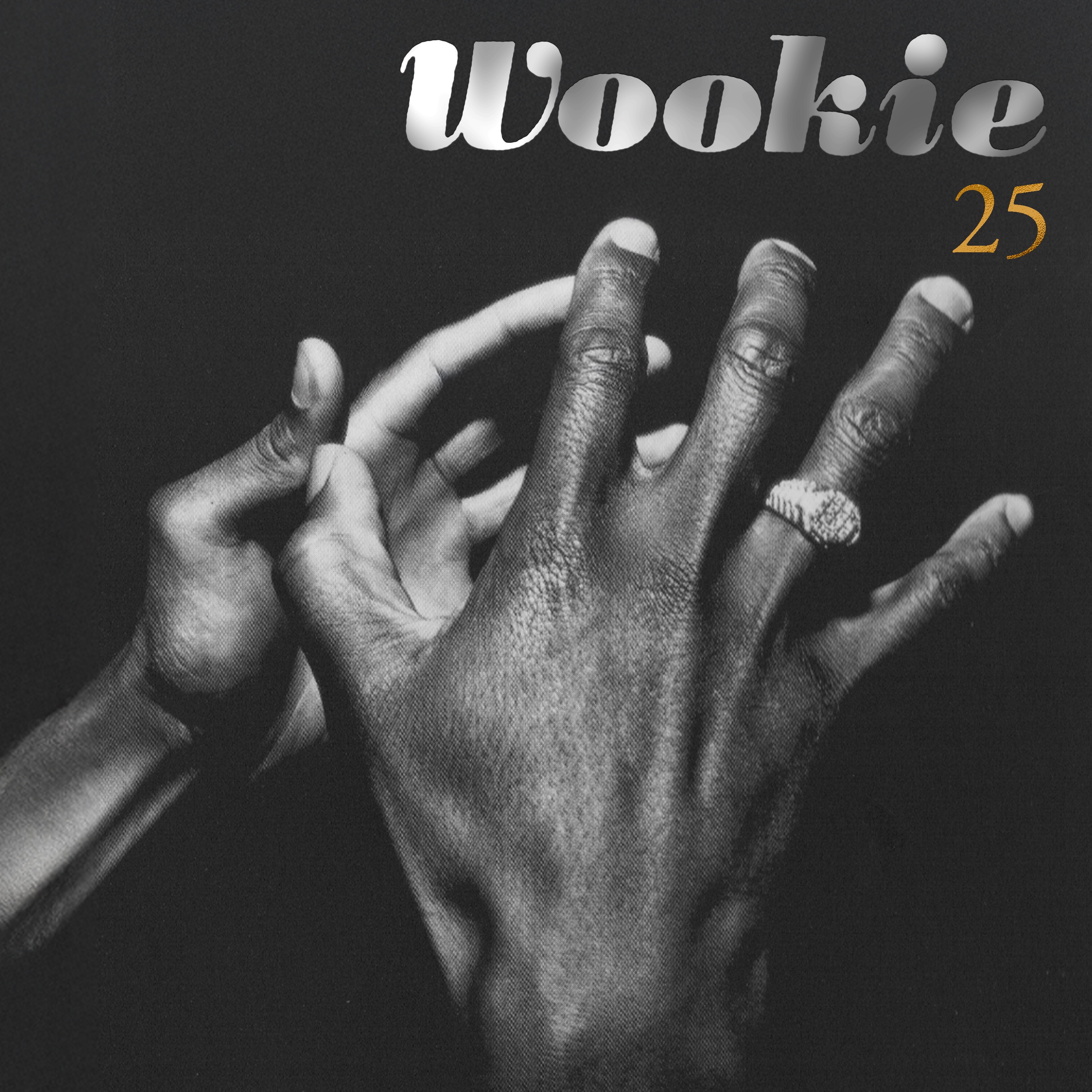 25 (25th Year Edition) album cover