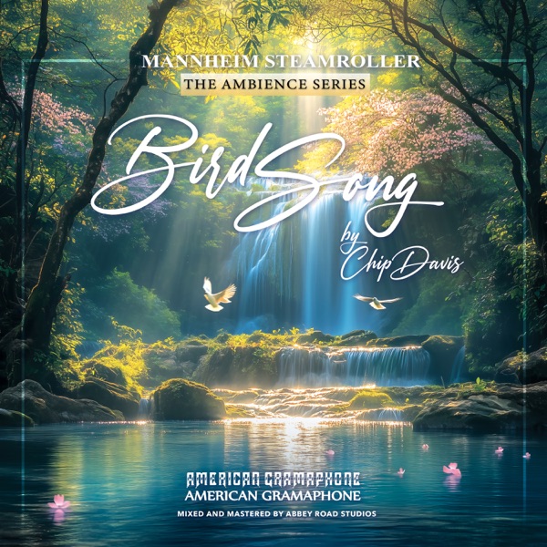 Bird Song - Music + Ambience album cover