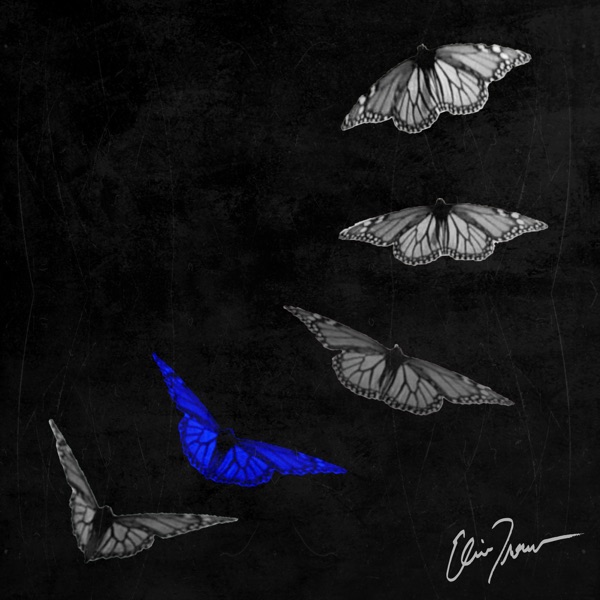 Losing Sleep - Single album cover