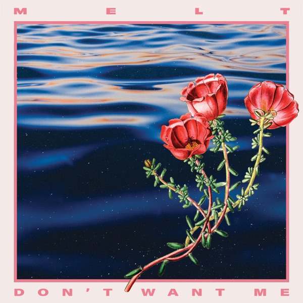 Don't Want Me - Single album cover