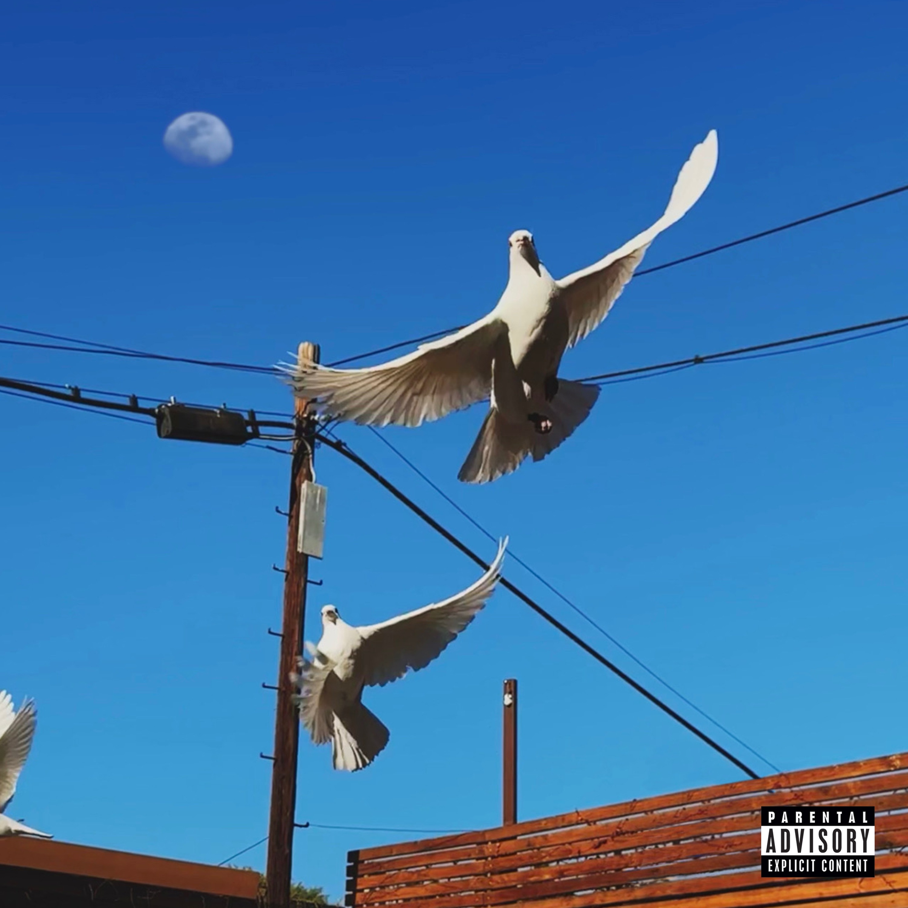 your name forever - Single album cover
