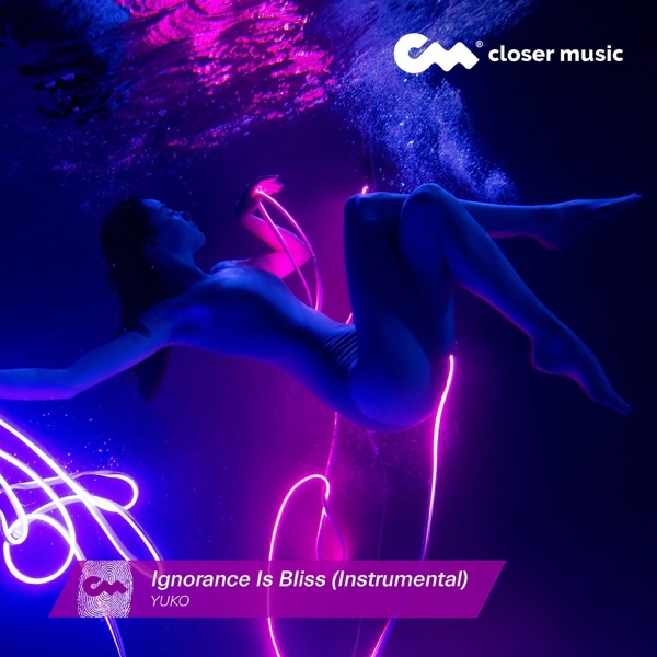 Ignorance Is Bless (Instrumental) - Single album cover