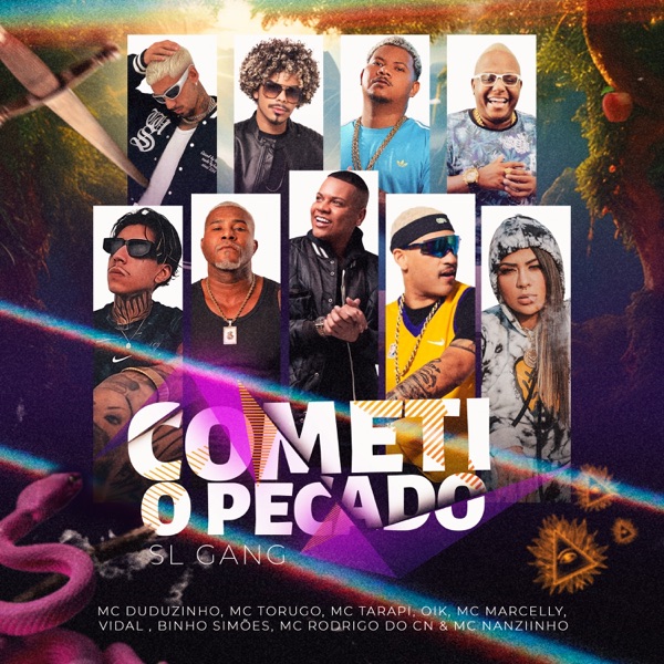 Cometi o Pecado (feat. Mc Torugo, Binho Simões, MC Marcelly, Mc Tarapi, Mc Nanziinho, DJ Pedrinho, S album cover