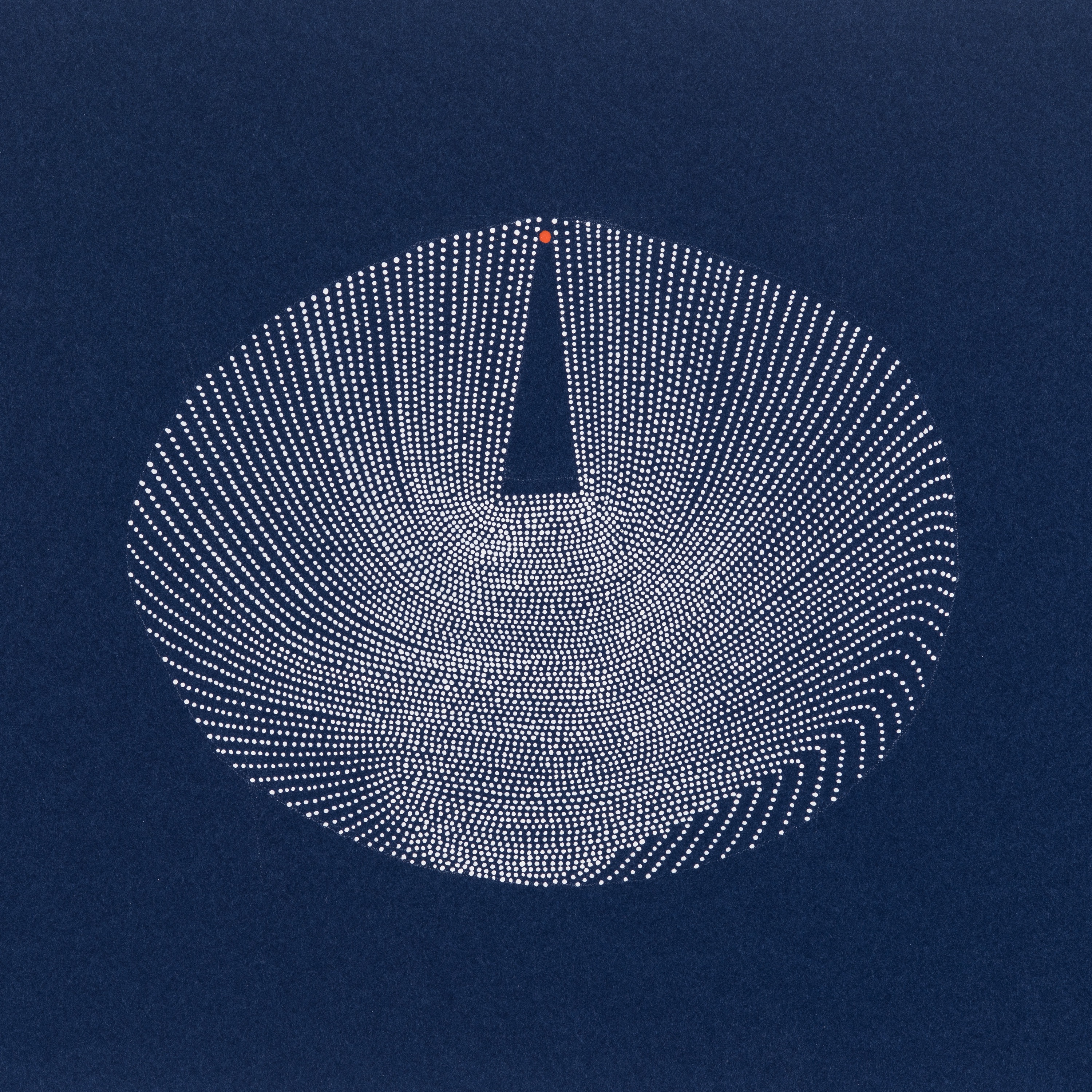 Flutter album cover