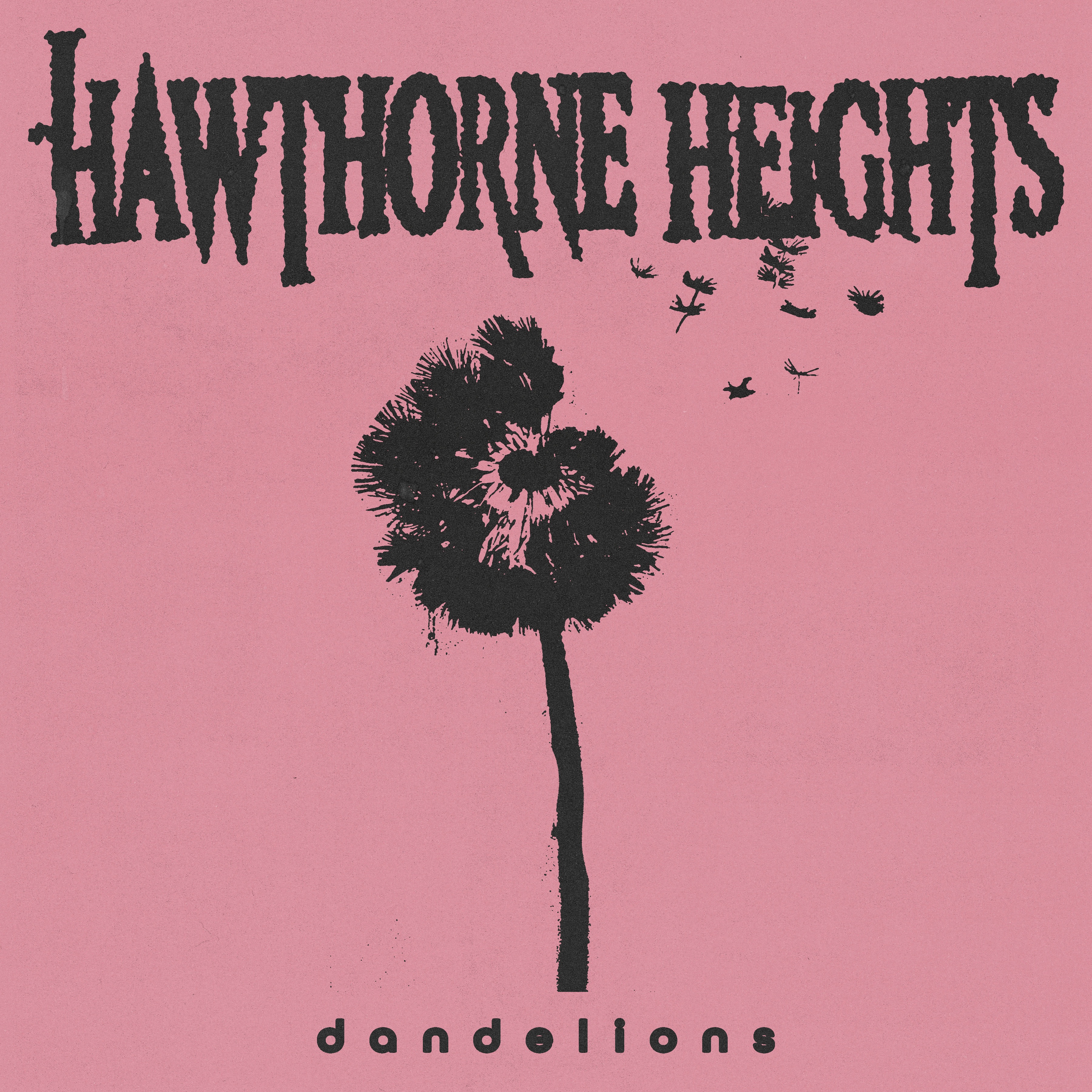 Dandelions - Single album cover
