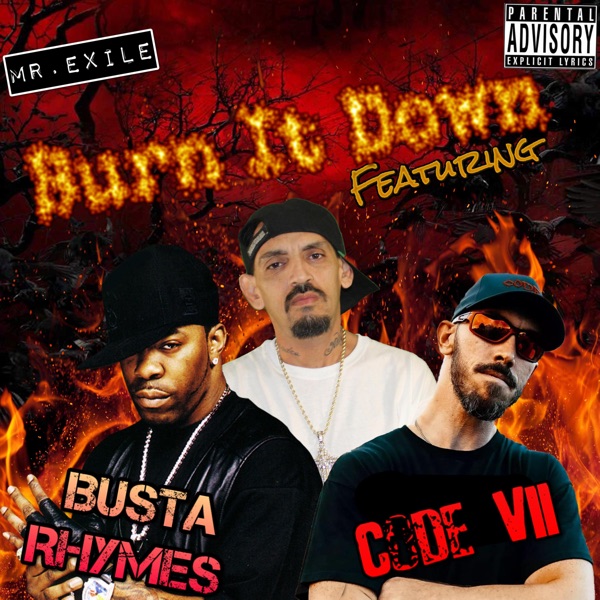 Burn It Down (feat. Code VII & Busta Rhymes) - Single album cover