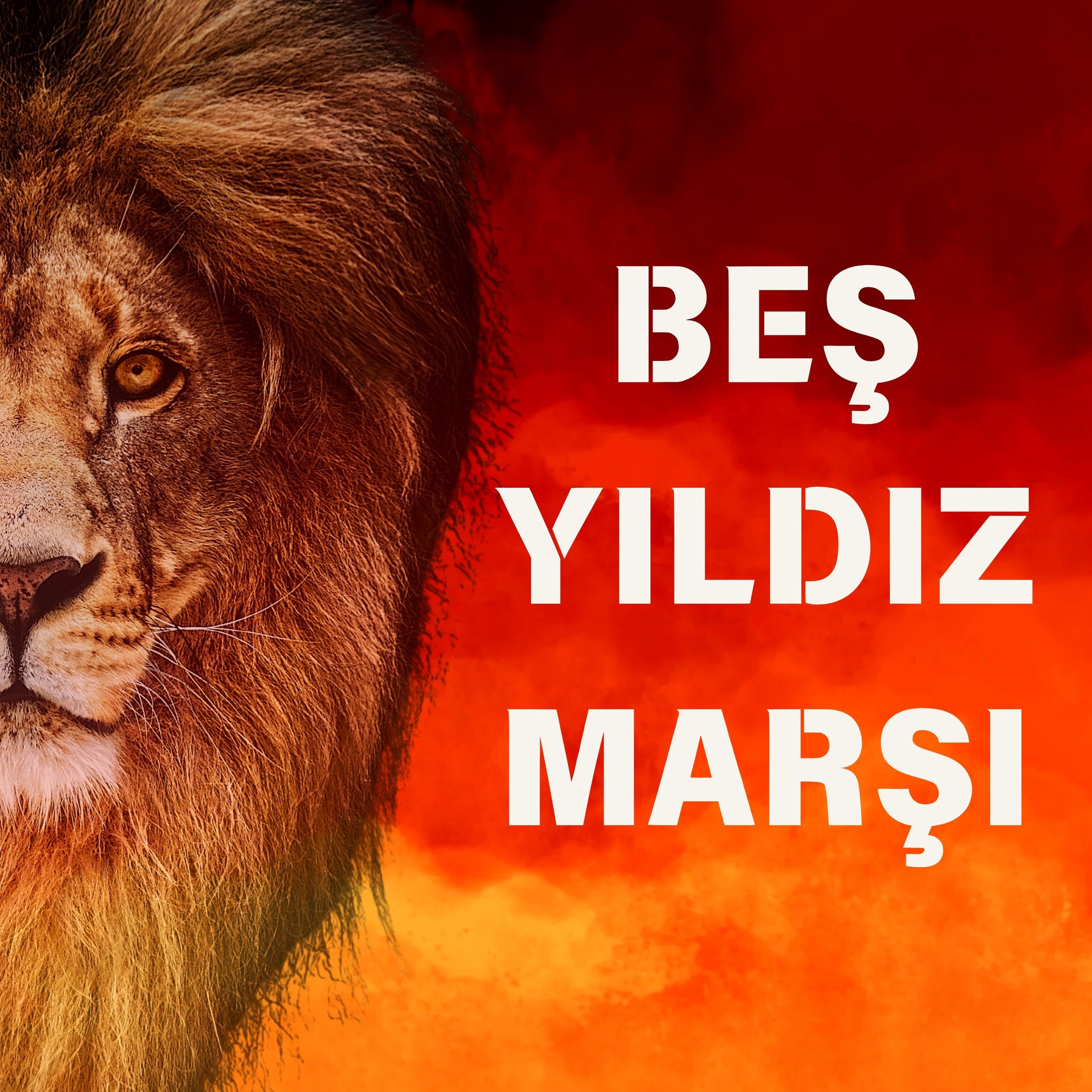 Beş Yıldız Marşı - Single album cover