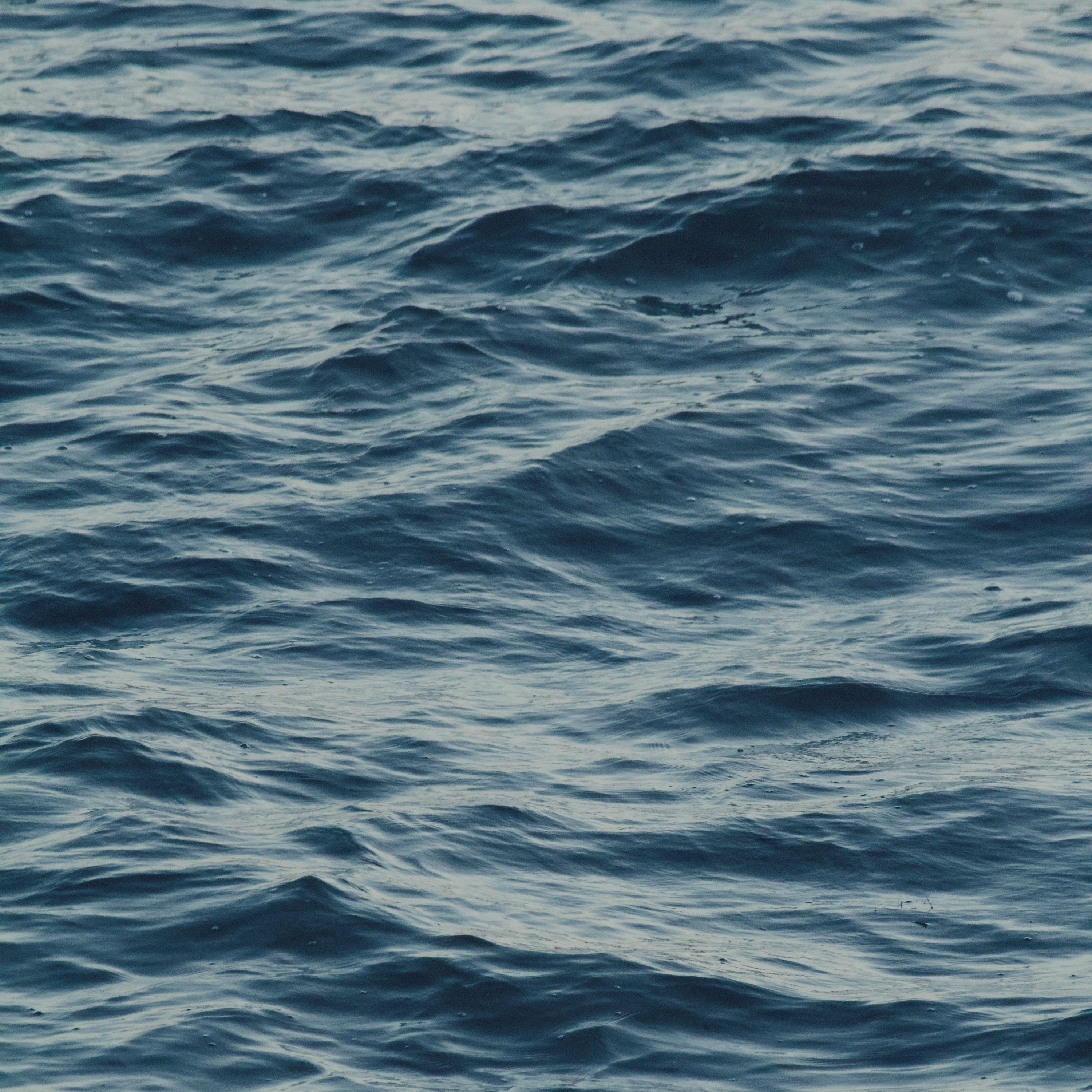 Havet - Single album cover