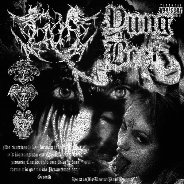 Traumatismo Kraneoencefálico II album cover