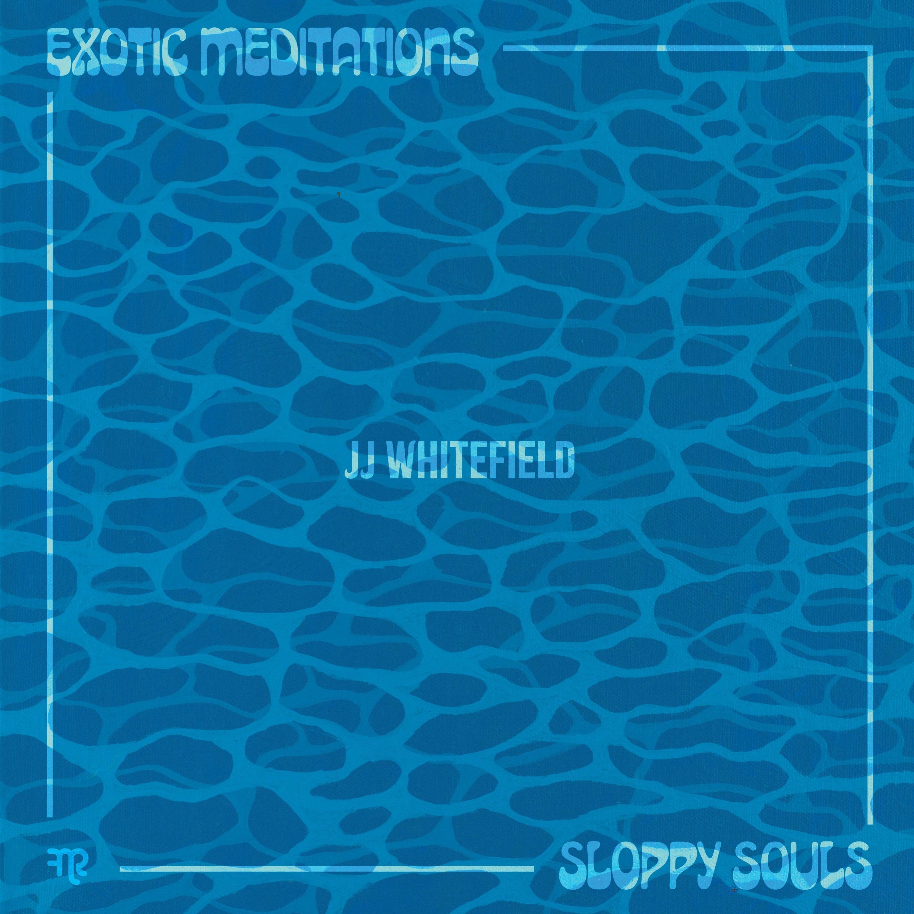 Exotic Meditations/Sloppy Souls album cover