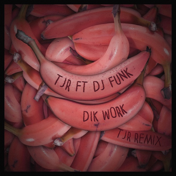 Dik Work (TJR Remix) [feat. DJ Funk] - Single album cover