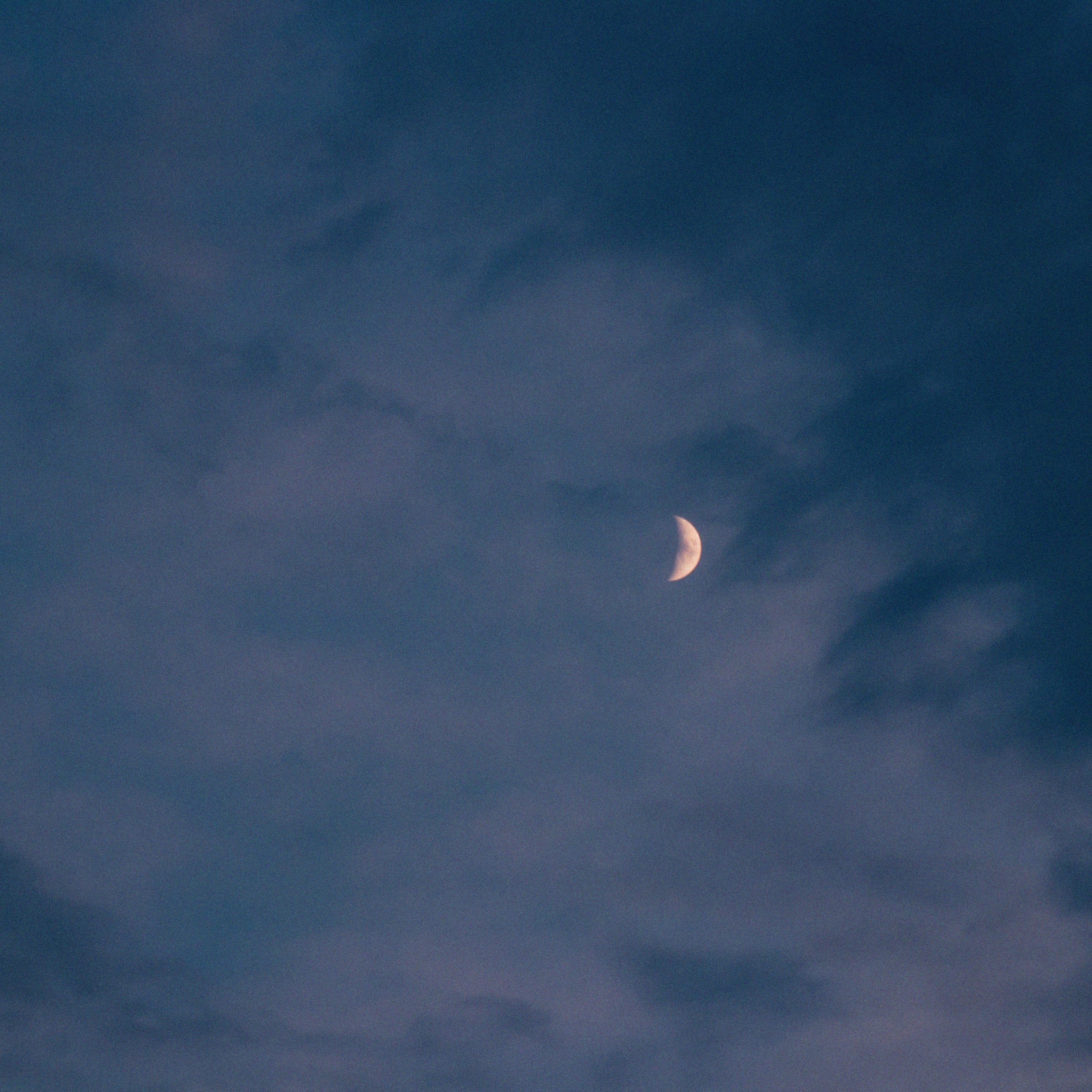 in a shared dream - Single album cover