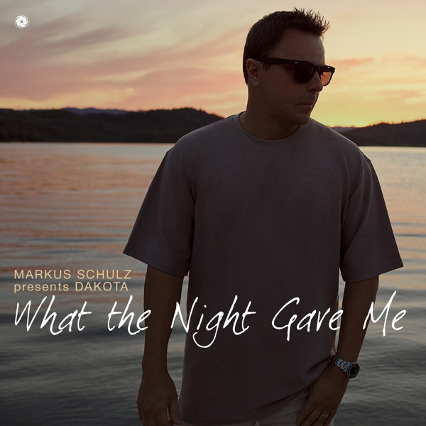 What the Night Gave Me - Single album cover