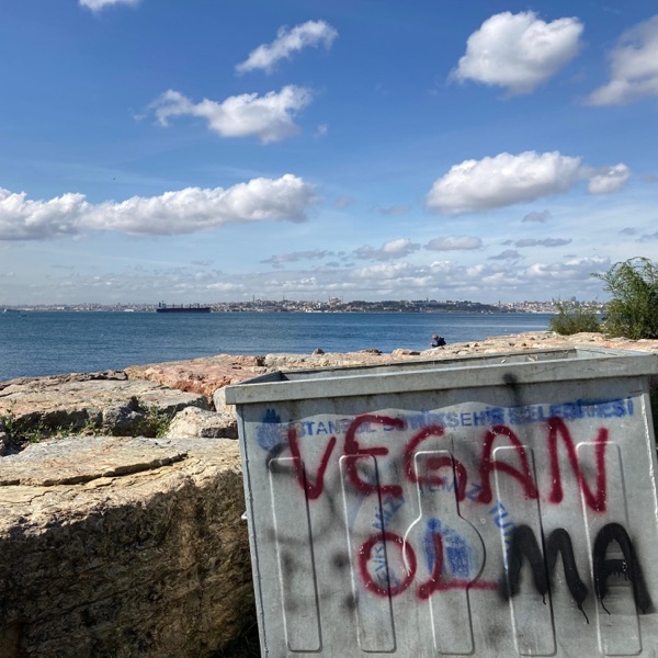 Somebody Tell That Woman (feat. Brother Dege) - Single album cover