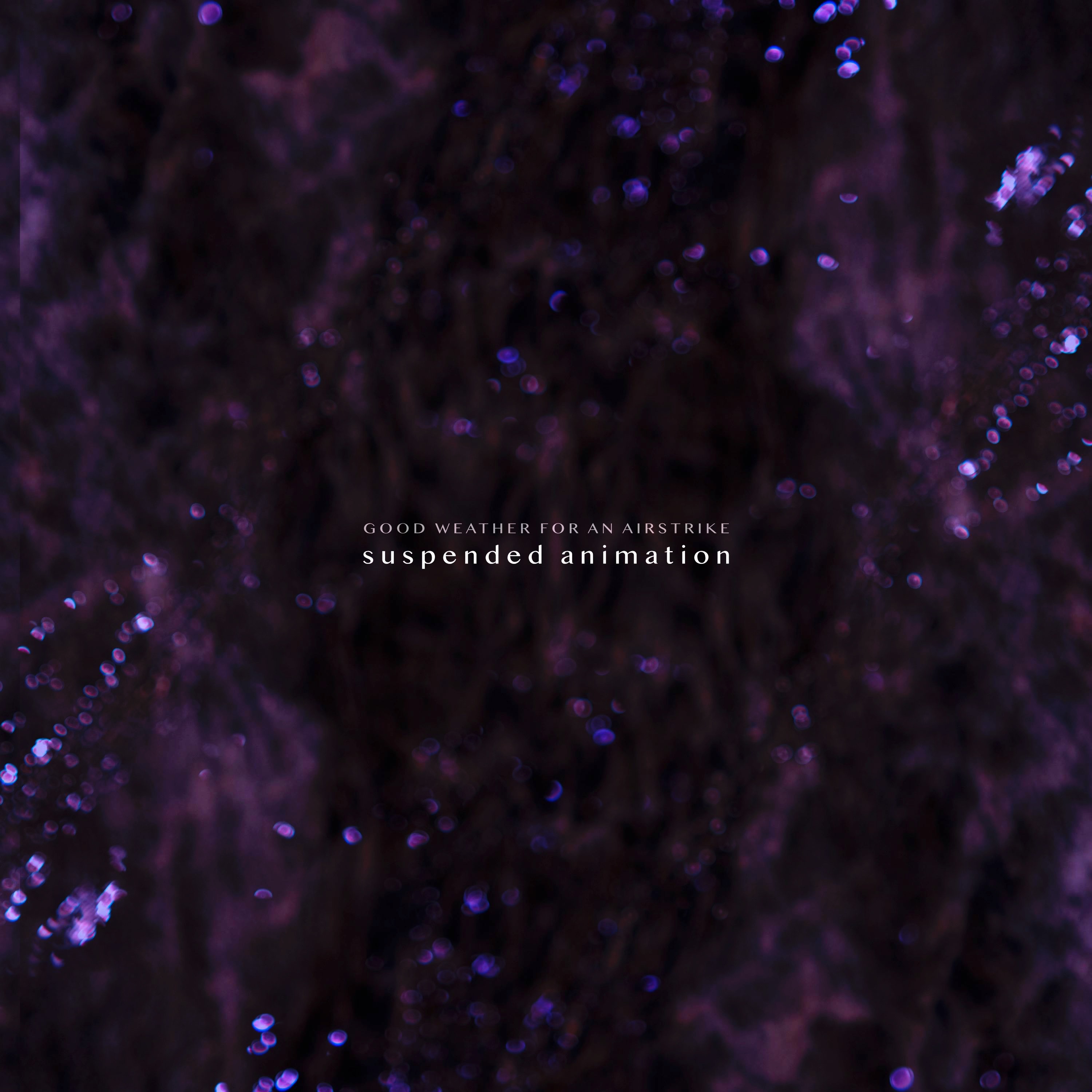 suspended animation album cover