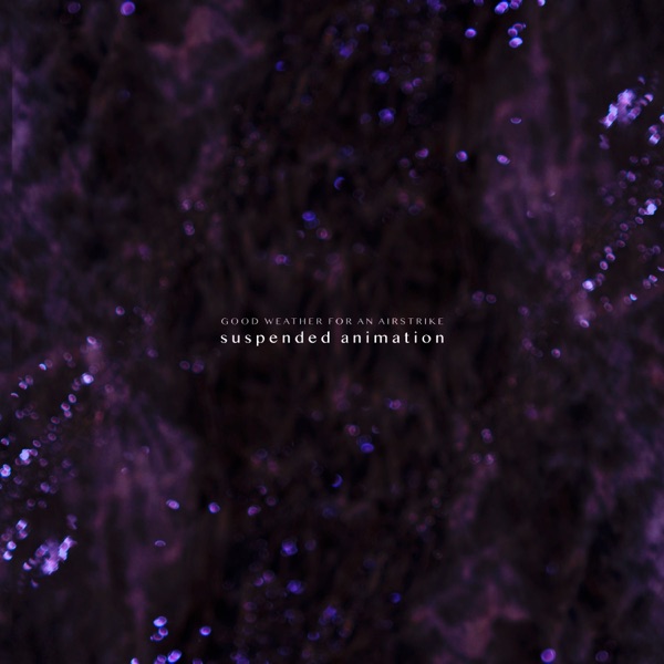 suspended animation album cover
