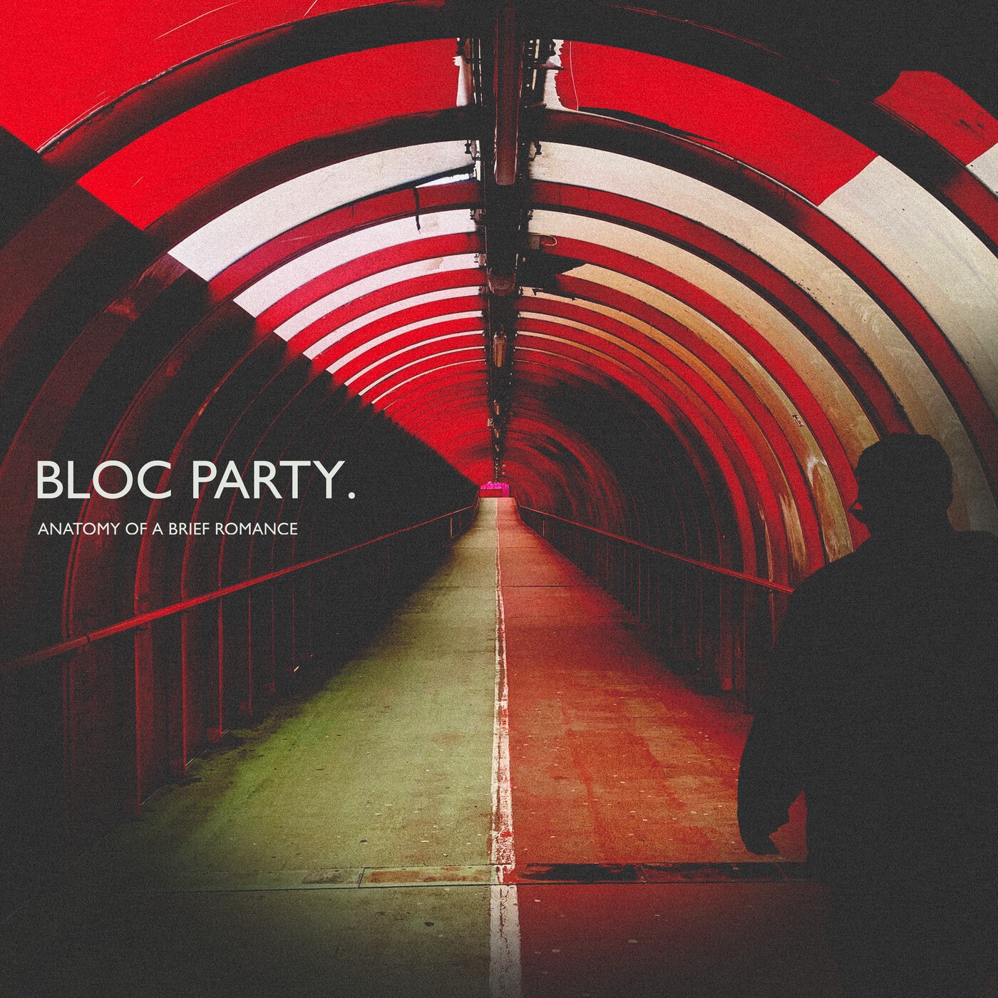 Anatomy Of A Brief Romance album cover