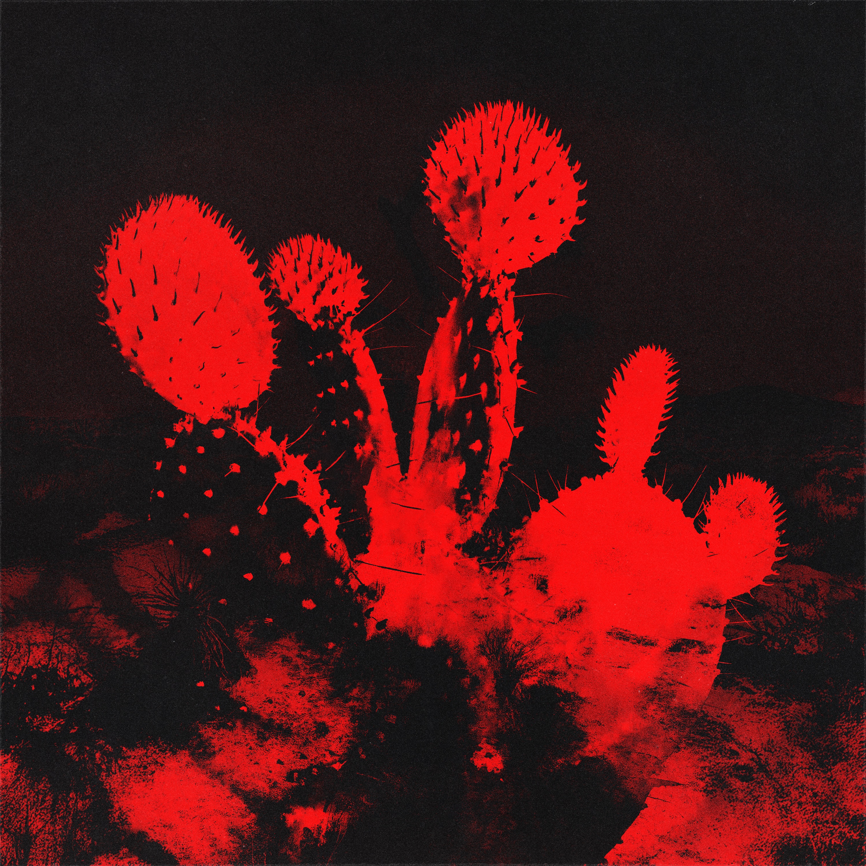 Melt'd (deluxe) album cover